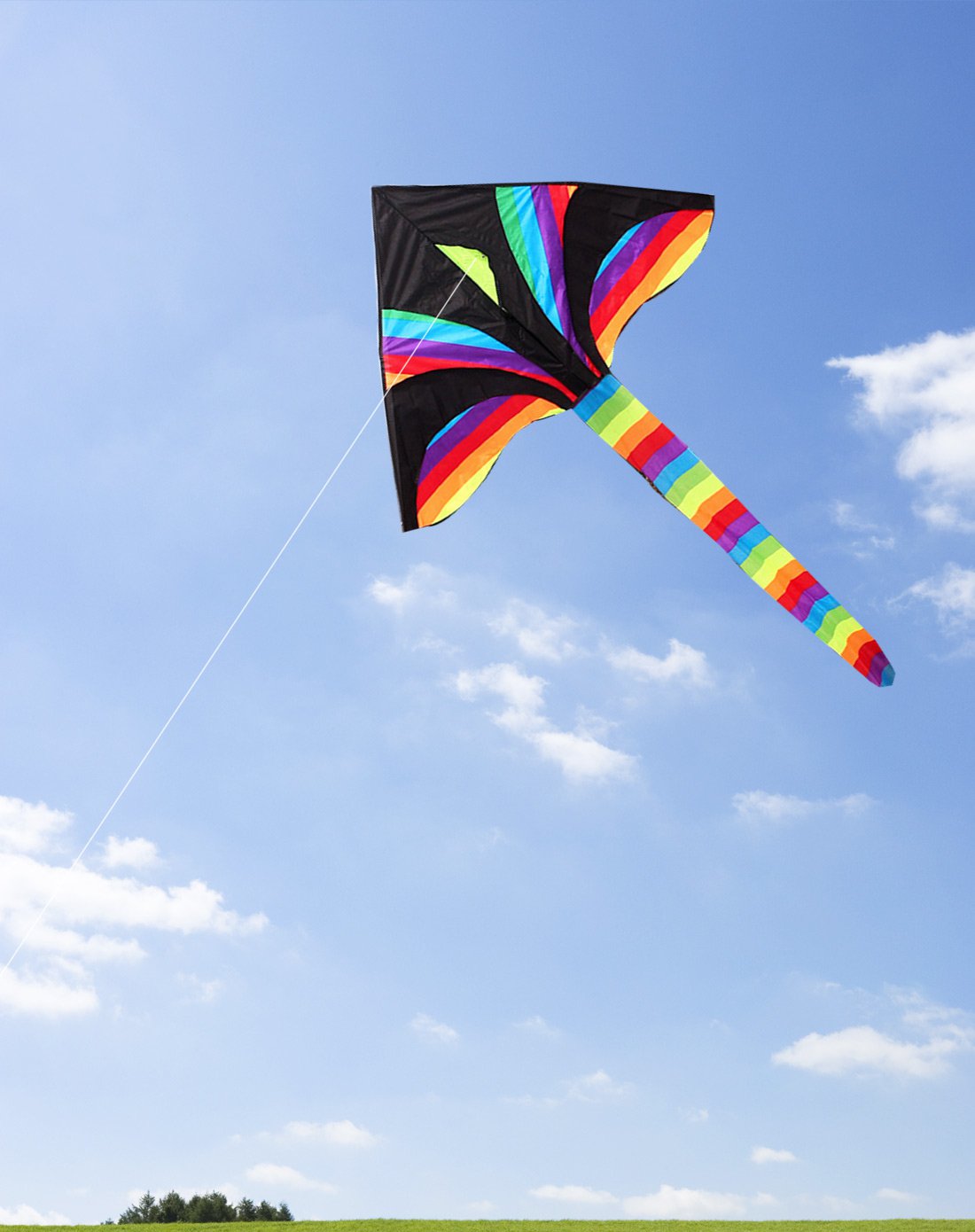 1.6米黑头彩虹风筝送100米拉力线