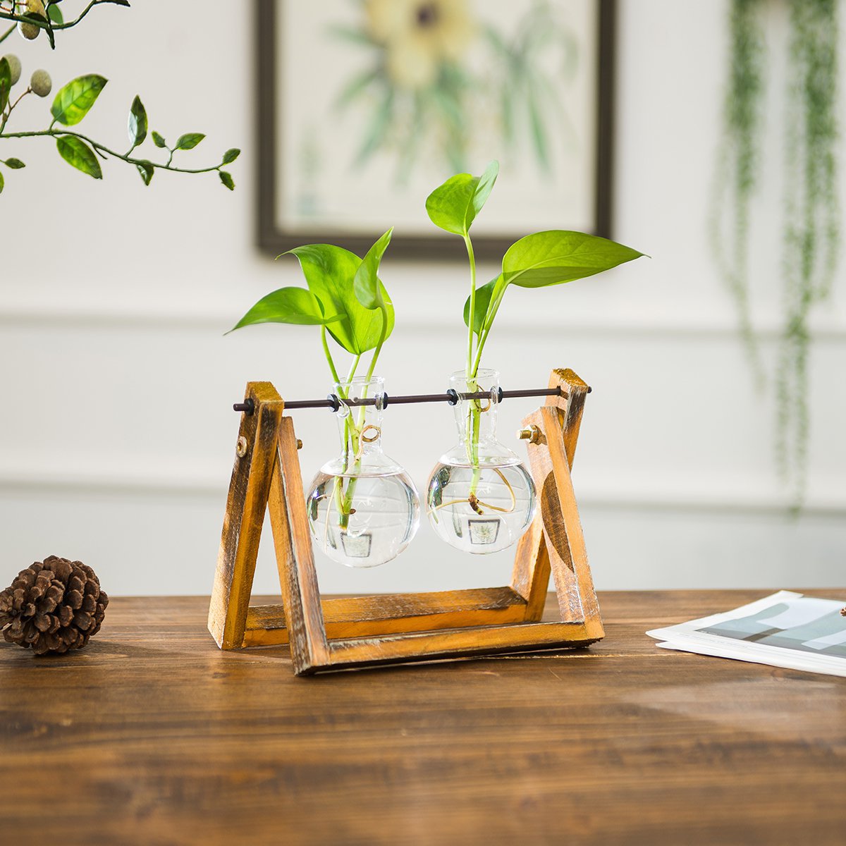 美式简约水培花瓶创意玄关书房摆件现代透明玻璃花瓶摆设水培容器