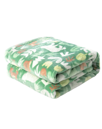 宝宝儿童男女毛毯盖毯柔软法兰绒毯子