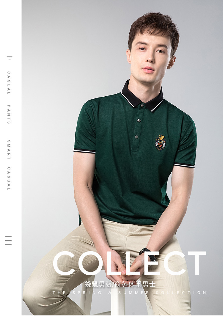 袋鼠daishu 纯色百搭时尚胸标抗皱亲肤2019秋冬polo衫短袖男式t恤