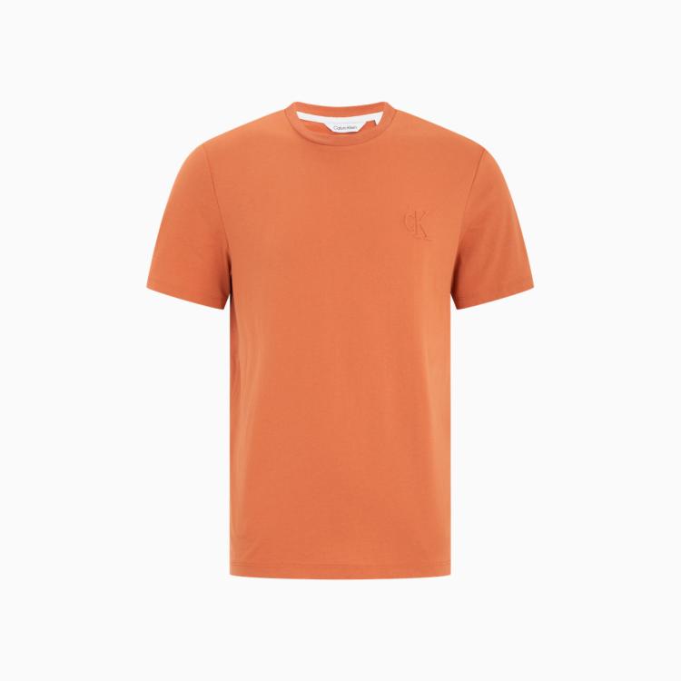 Calvin Klein Ck Jeans22春夏新款男士休闲圆领顺色浮雕感logo短袖t恤40hc209 In Orange