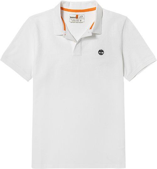 ᰹ٷװPOLO|A62T5160Ԫ