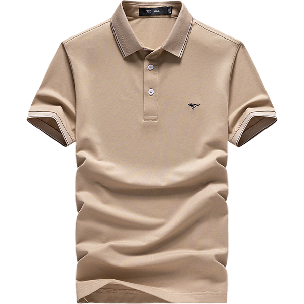 ƥ ɣ˿ ļٴpolo119Ԫ
