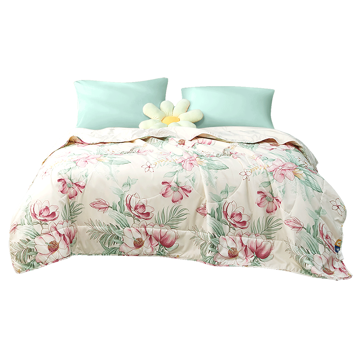  ֵ޽ë󶹱ůļͨñӱо