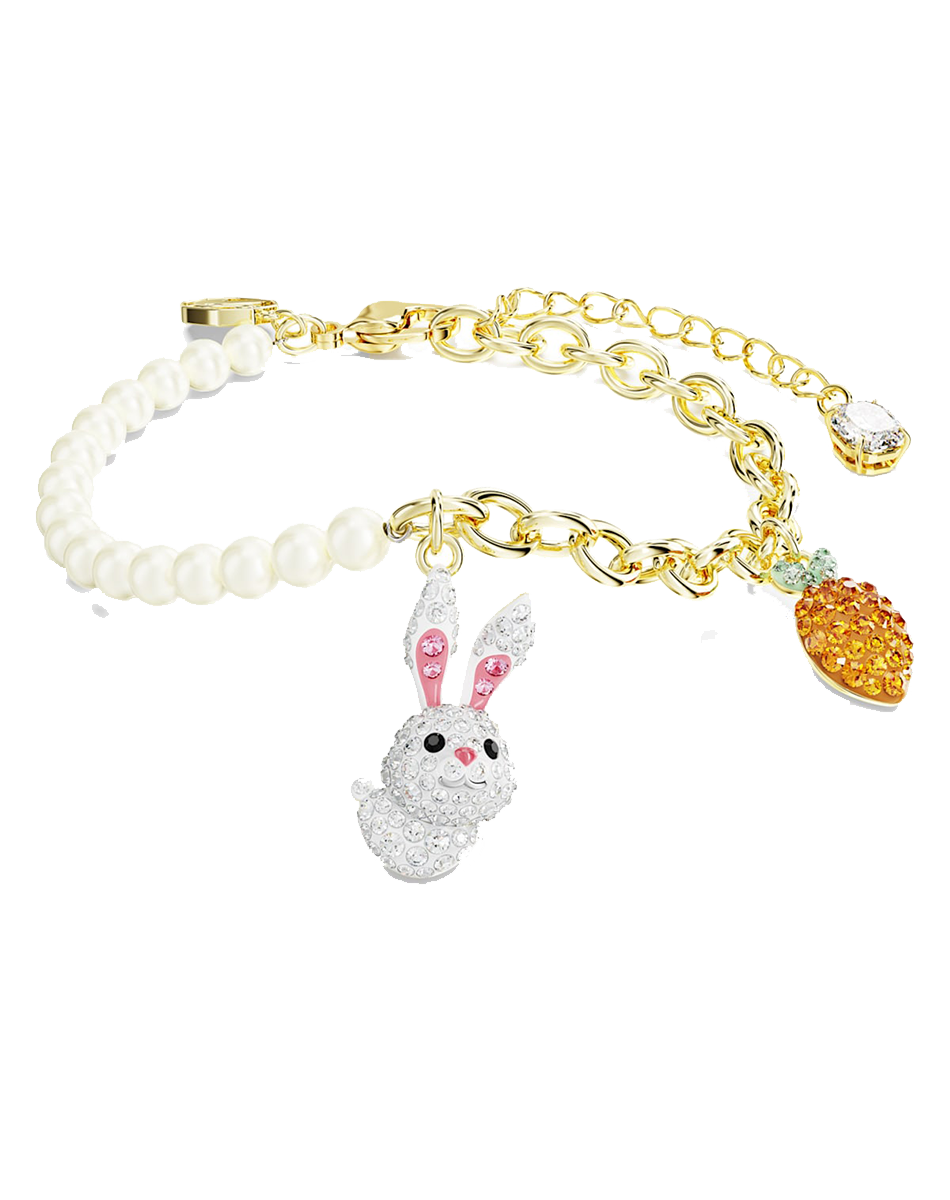 ʩ ٷȨ RABBITϵ Ů2025ʽ߼Ʒ 699Ԫ