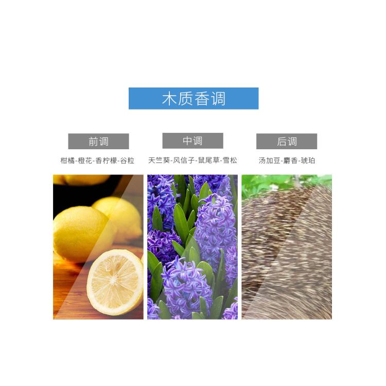 范思哲 经典同名男士淡香水 50ml 清新优雅 自然清新木质男香