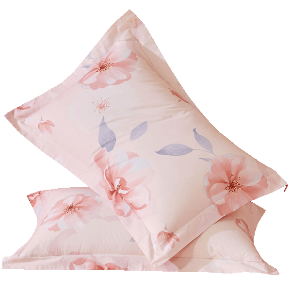 ����ҷ� ȫ������һ��װ�������׼��ô�����Ʒ���������׶�װ