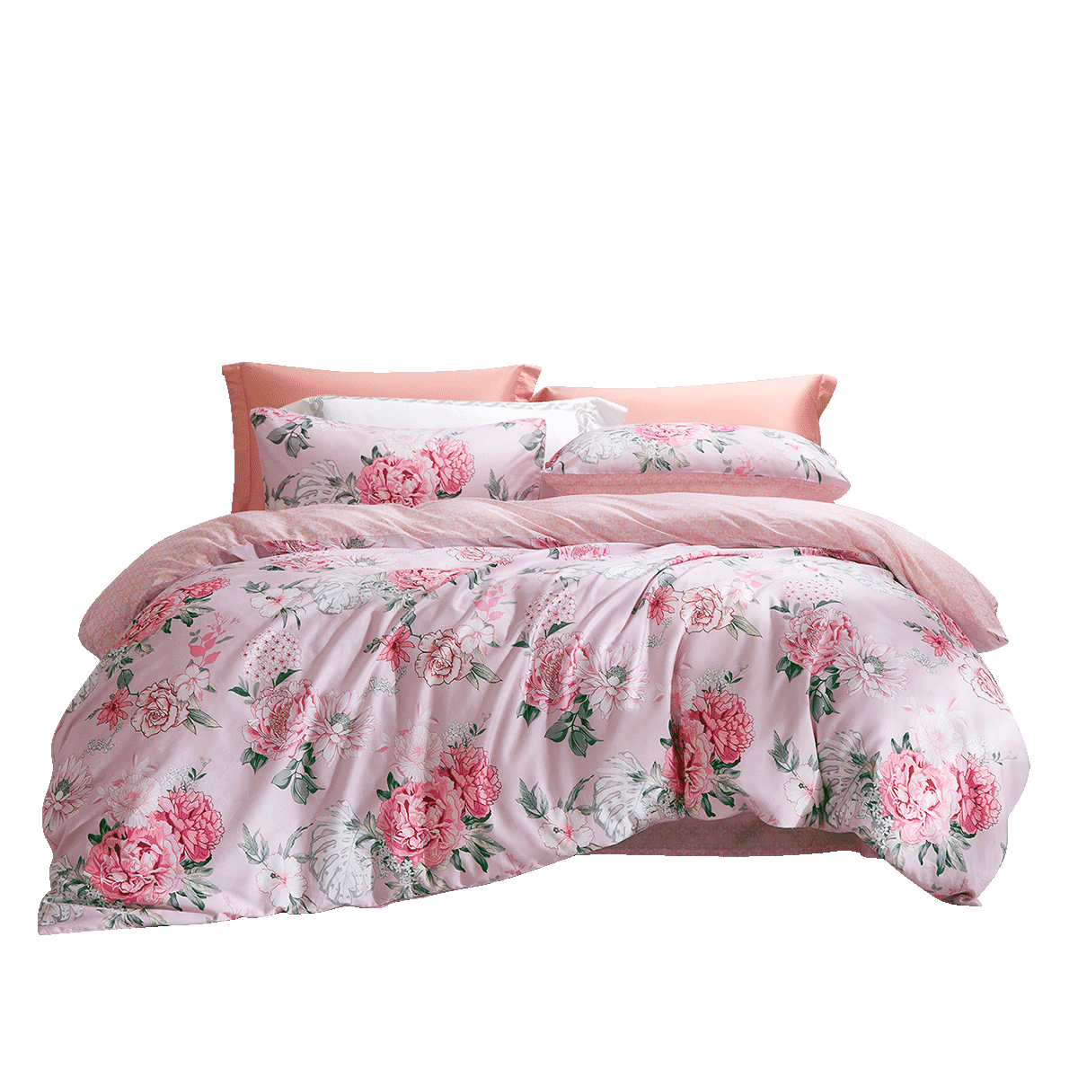 ������ �������100%ȫ�޹���ӡ�����ļ����ļ����ô��ޱ����׼� 195Ԫ