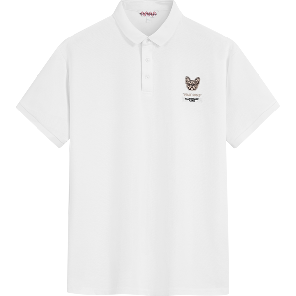 ˬޡļ´ʿTжPOLO92Ԫ