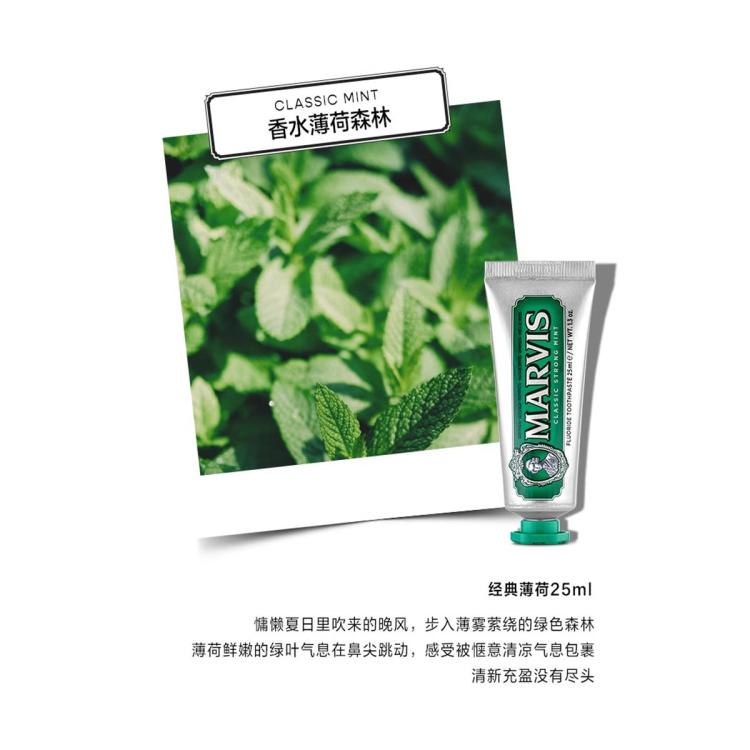 MARVIS 玛尔仕经典强力薄荷森林旅行洁齿牙膏 清新呵护牙龈 25ml