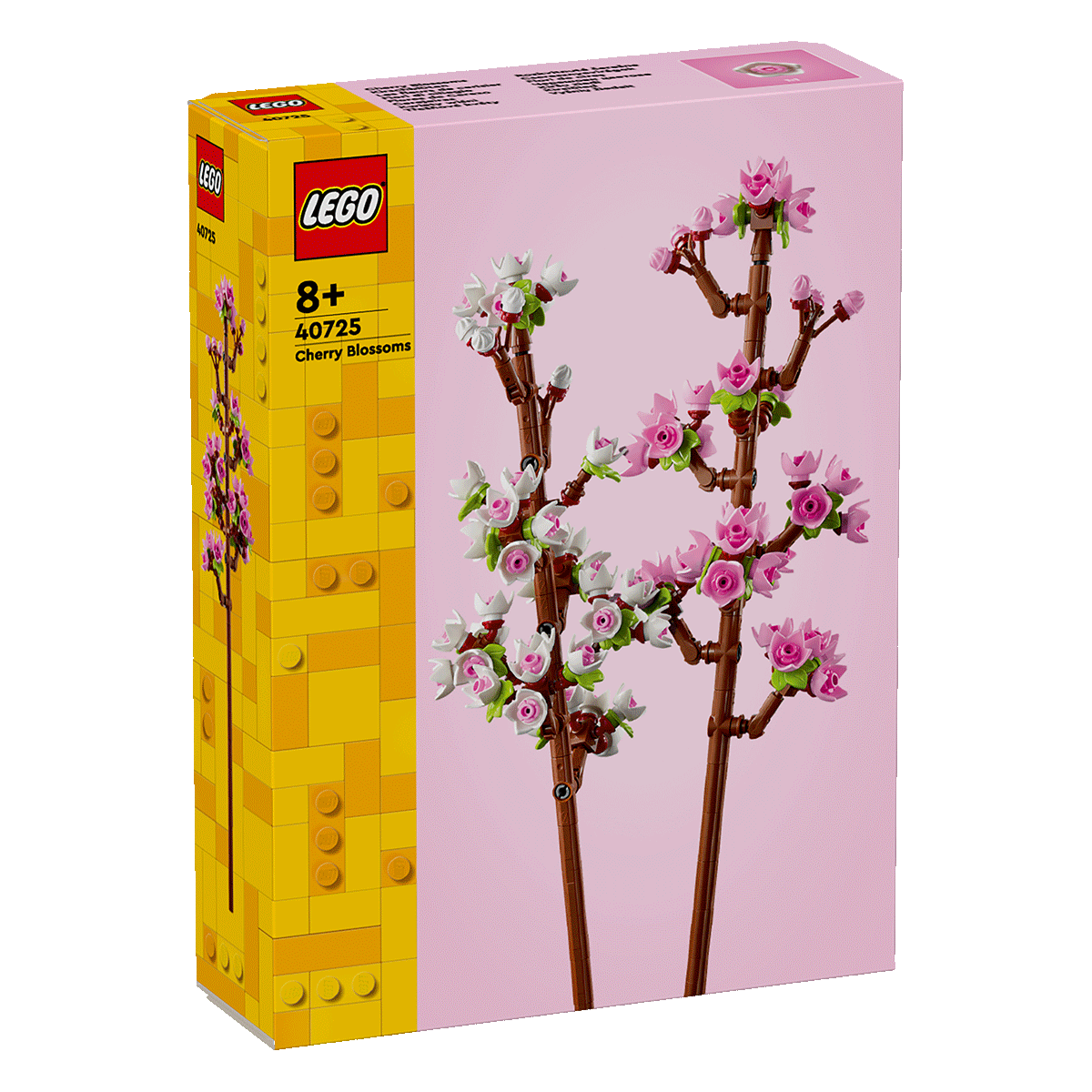 ָ Ʒ ľƴ40725ӣ ͯ߼ҾӰ8