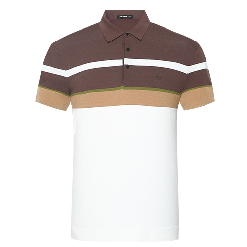 ɻϴءзPoloԼͨʽPolo