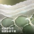 Babycare 【全新金山茶组合装】花苞山茶轻柔尿不湿拉拉裤L-3XL 图片 7
