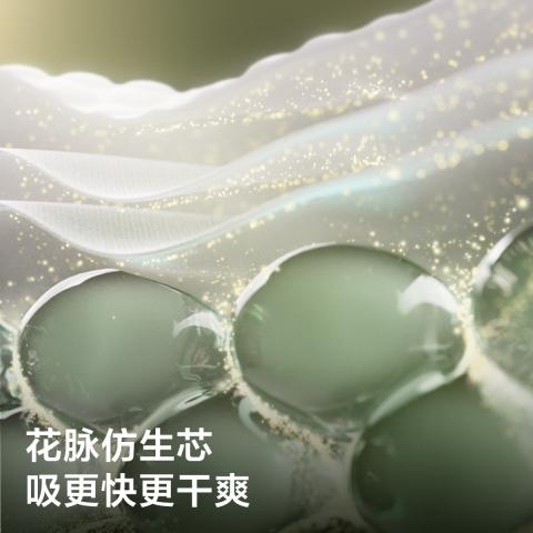 Babycare 【全新金山茶组合装】花苞山茶轻柔尿不湿拉拉裤L-3XL 图片 7