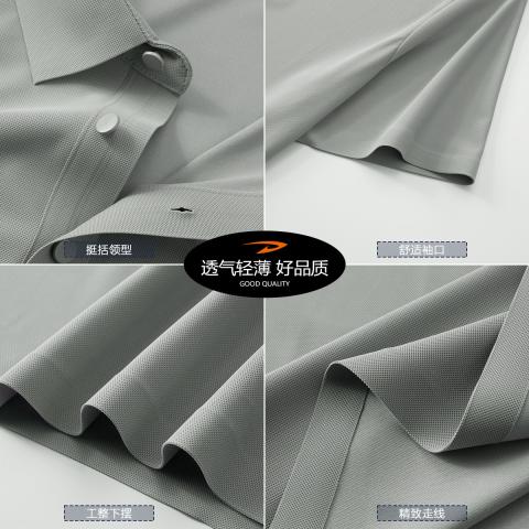 德尔惠 【烫钻工艺】无痕polo衫男秋季冰丝薄款男式商务休闲短袖T恤 图片 6