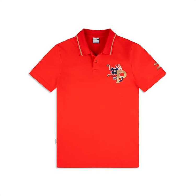 /PUMAװPOLO93Ԫ