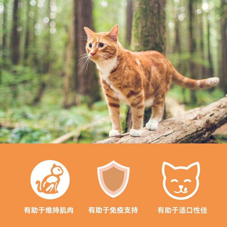 商品缩略图 5