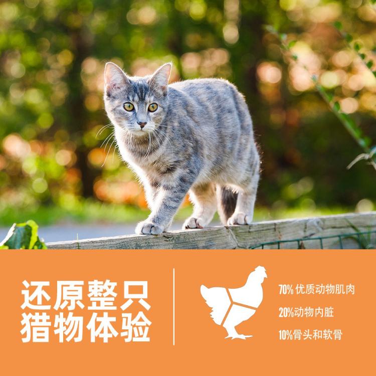 商品缩略图 6