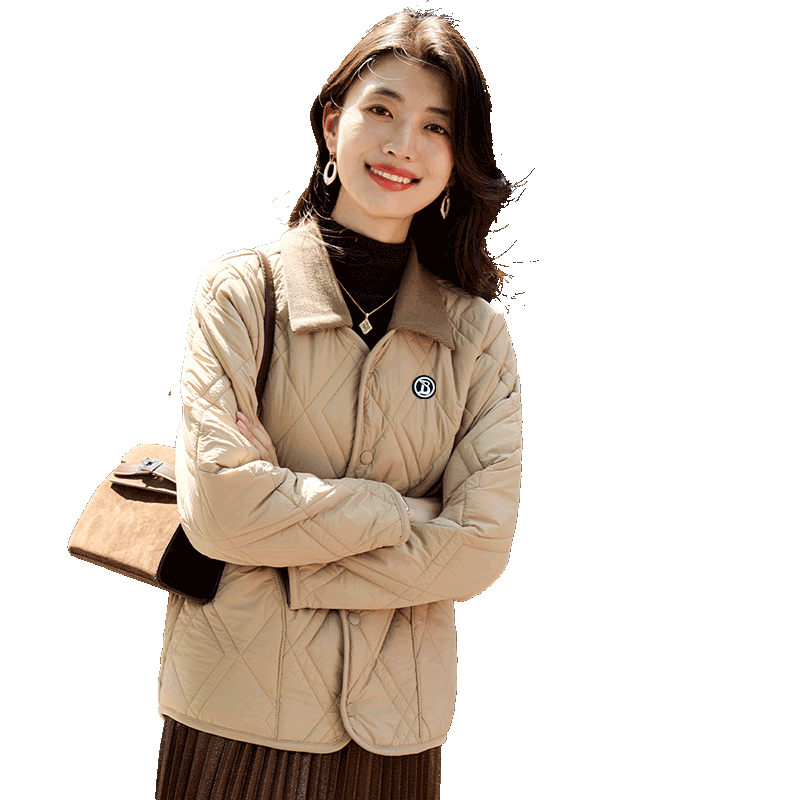 · ëŮ2025¿ﶬϵСʿ 95Ԫ