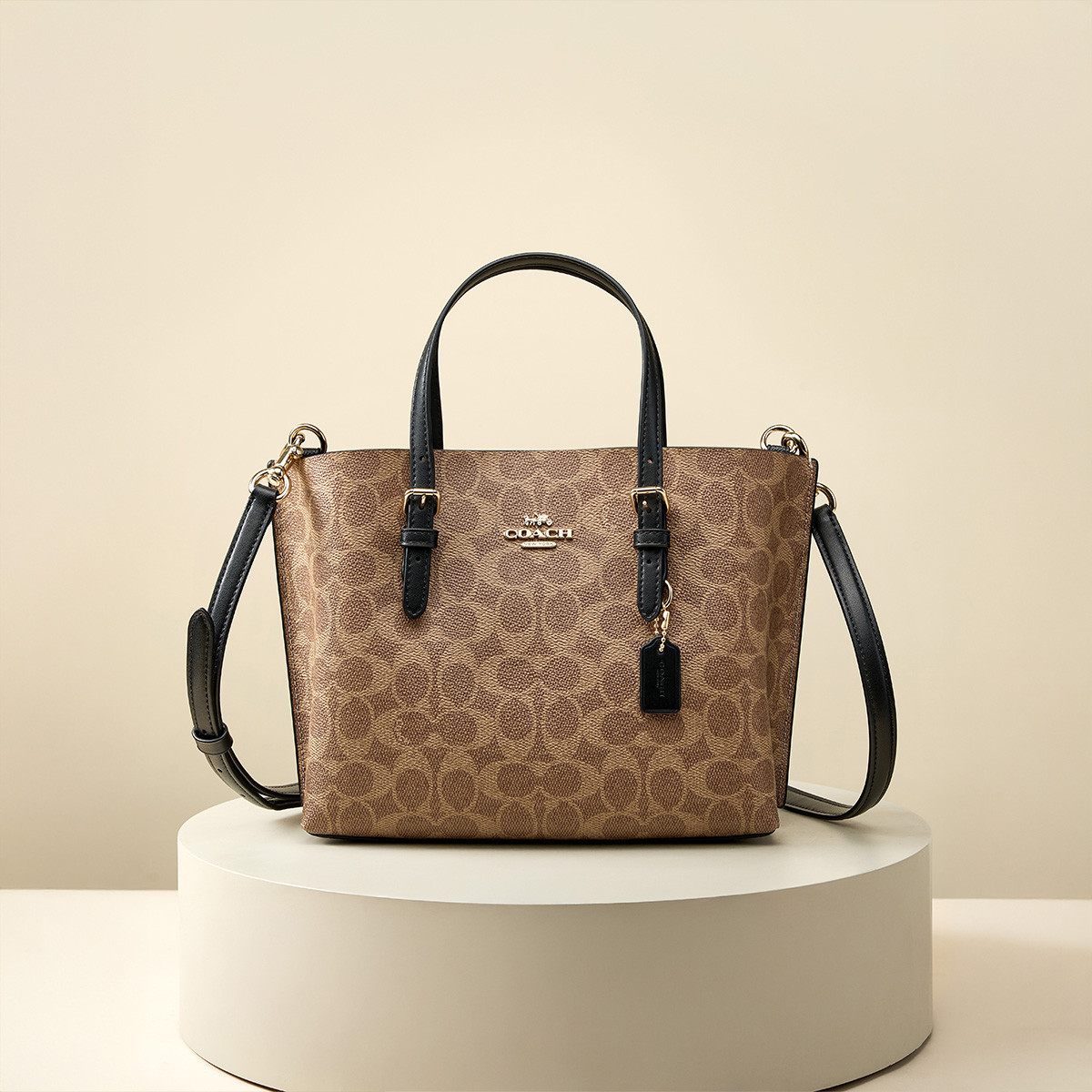 COACH 【全国联保】蔻驰 Mollie 25老花手提斜挎托特包CV965