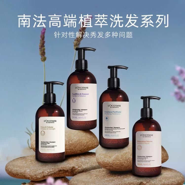 L'OCCITANE 欧舒丹草本洗发水礼盒 焕发瓶双支装500ml*2