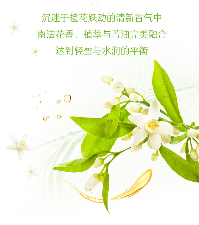 橙花矢量图,矢量图花朵_大山谷图库