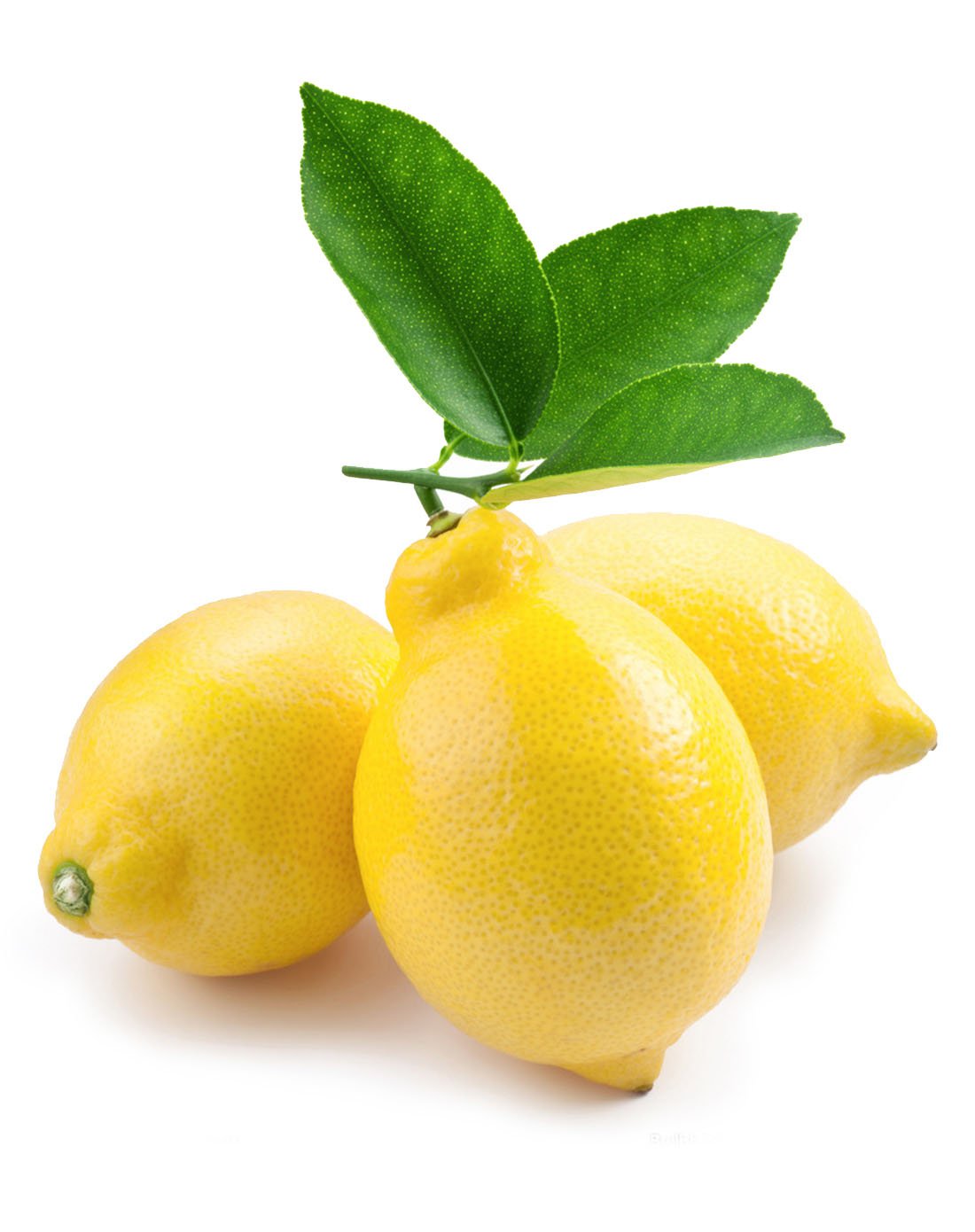 南非进口柠檬【10颗装】单果约100g