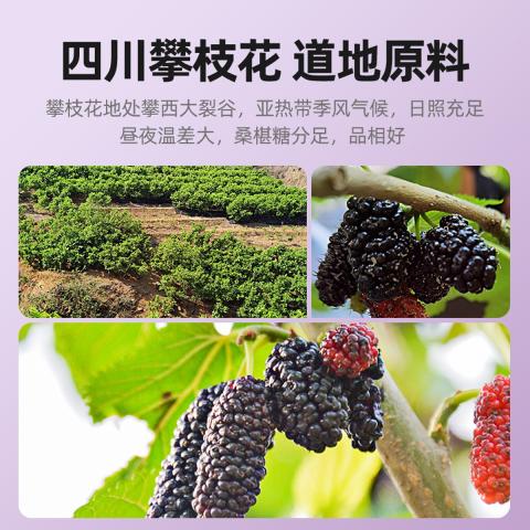 杞里香 手选大果黑桑葚干500g头茬桑葚子干货桑椹果干桑椹子 图片 5