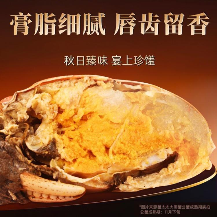 蟹太太 大闸蟹礼券公4.0两 母蟹3.0两4对装蟹卡教师中秋礼物礼盒 图片 8