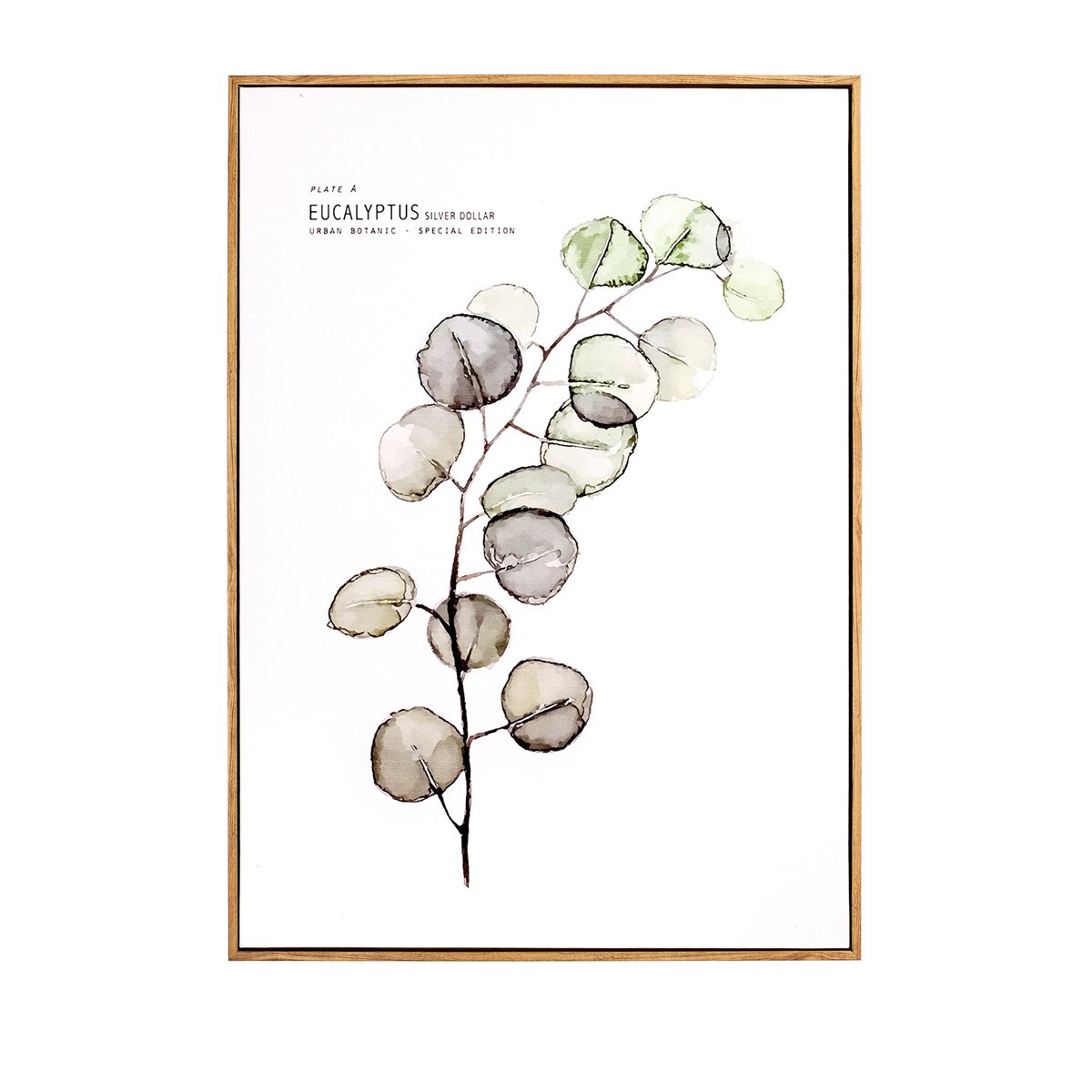 正想家居 清新绿植北欧ins风格装饰画 客厅玄关餐厅挂画竖版壁画