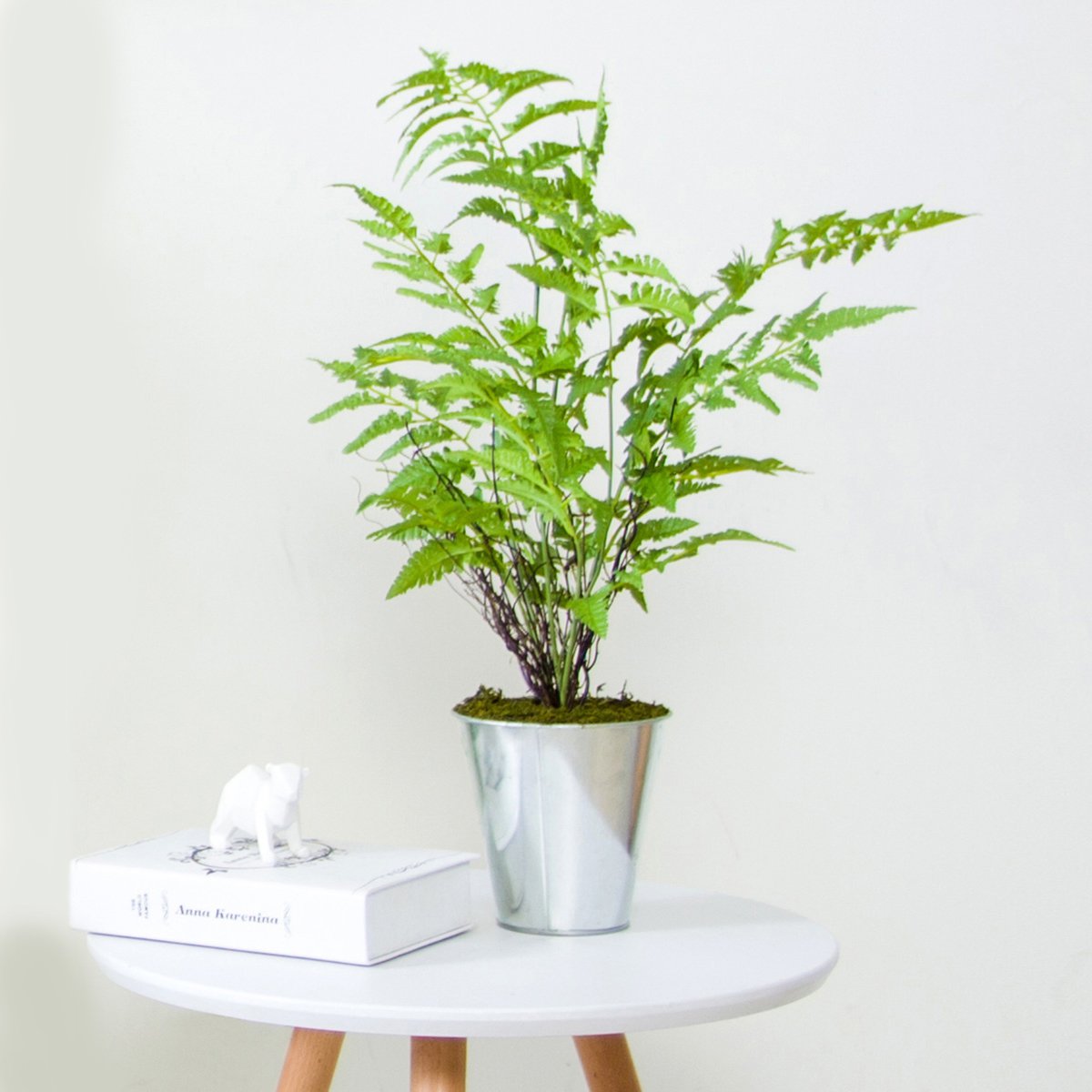 正想家居 北欧仿真绿植盆栽摆件室内大型蕨类植物盆景客厅摆设