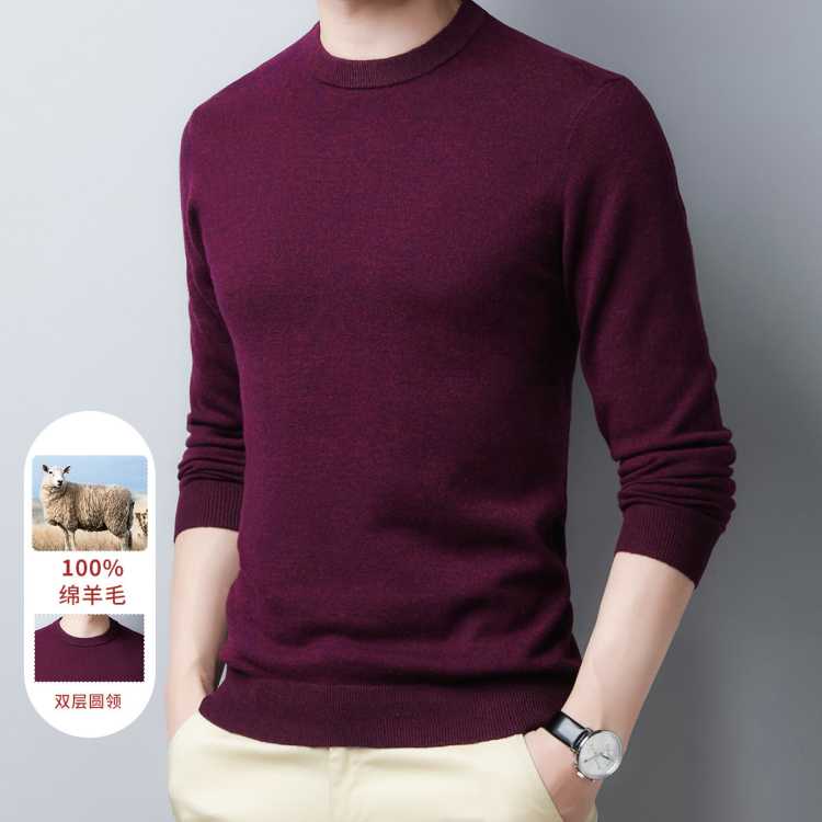 罗蒙 【口碑推荐】羊毛衫男100%羊毛半高领毛衣男半高领男士羊毛衫