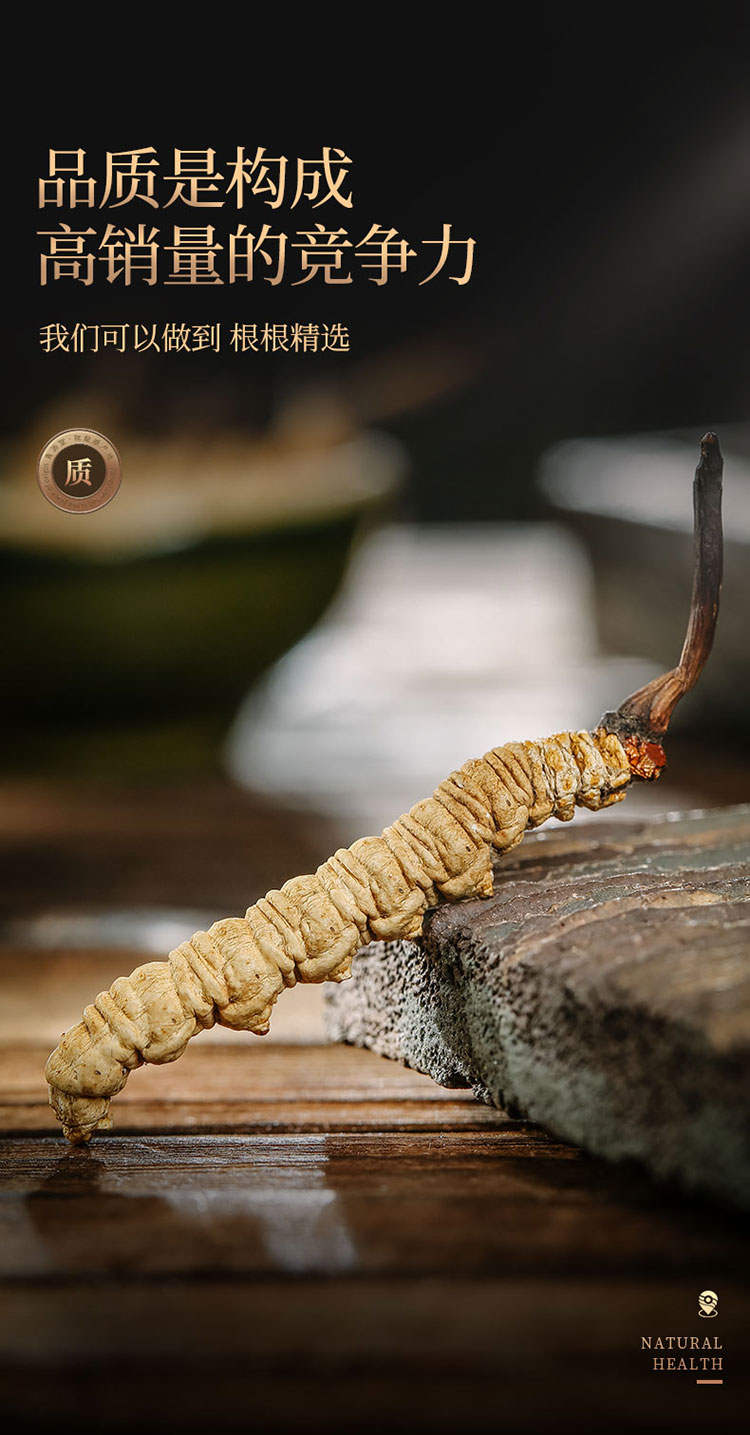 冬虫夏草青海高海拔雪山虫草高洁净冻干虫草搭枸杞泡酒家庭装