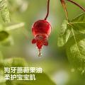 Babycare 【出行便携装】婴儿手口湿纸巾新生儿随身带湿巾20抽*10包 图片 3