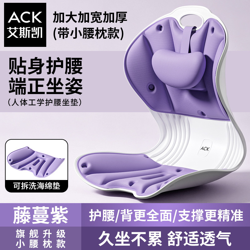 艾斯凯 护腰坐垫办公室腰托矫正坐姿神器人体工学成人腰支撑靠垫坐姿椅