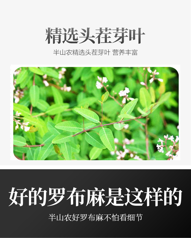 罗布麻茶 新疆罗布麻叶养生茶罗布麻嫩叶 130克/瓶