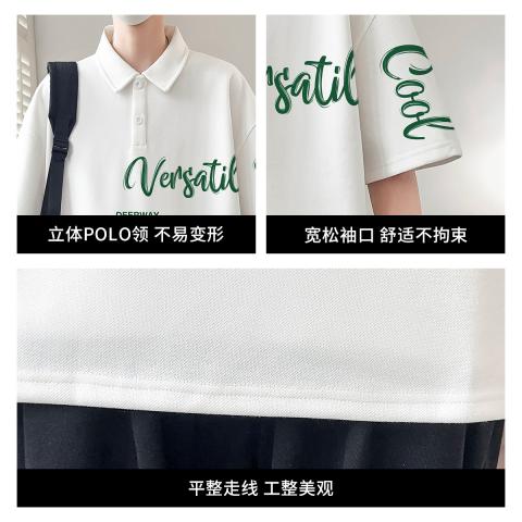 德尔惠 【宽松版型】运动polo衫秋季男式高级感时尚潮牌翻领短袖T恤 图片 3