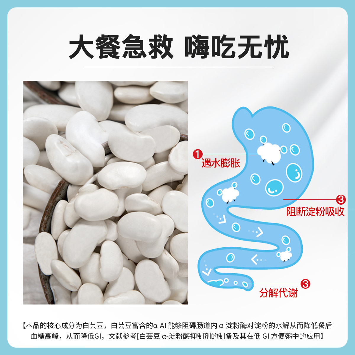 5盒装益生菌白芸豆压片糖果抗糖丸白芸豆阻断片抗糖阻断独立包装
