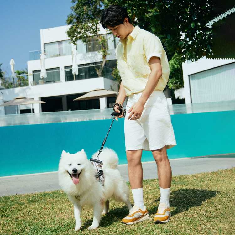 saucony SHADOW 6000RE˶ž˶Ь