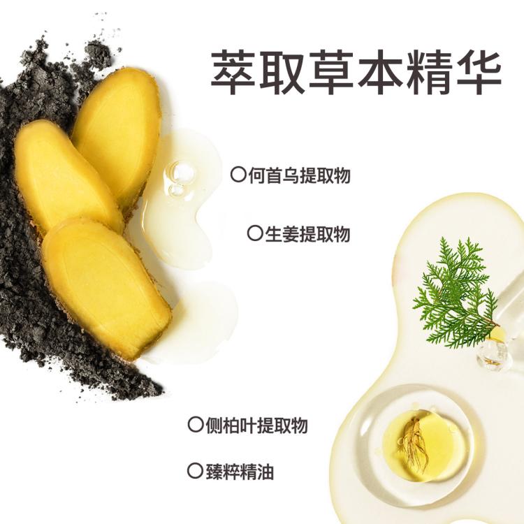 沫芮 2瓶何首乌洗发水柔顺黑发持久留香改善毛躁蓬松乌黑侧柏叶洗发露