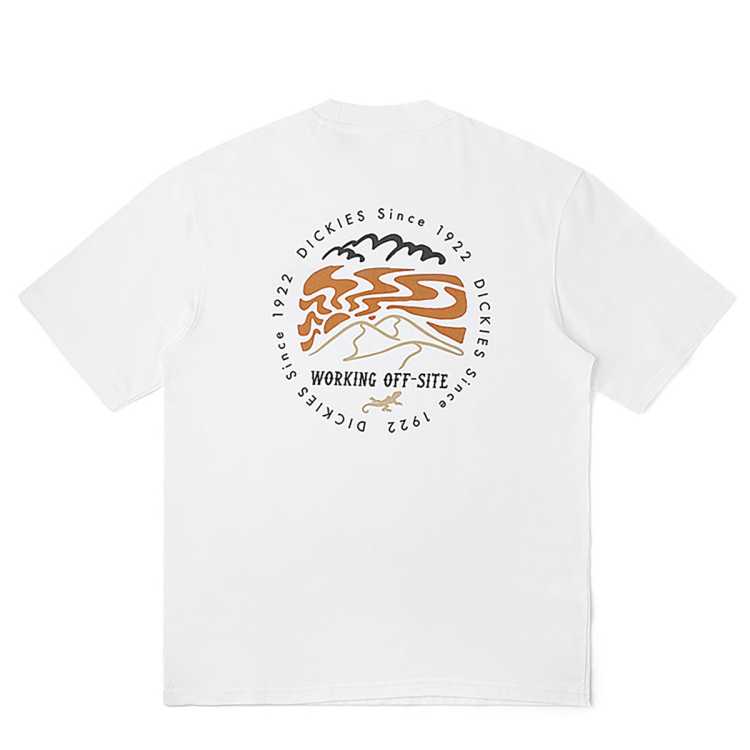 Dickies ���д��޺���T�� DK012908 ����͸���� 38Ԫ