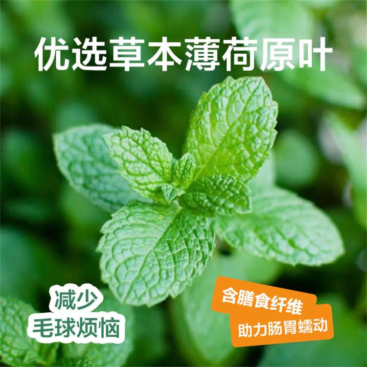商品缩略图 8