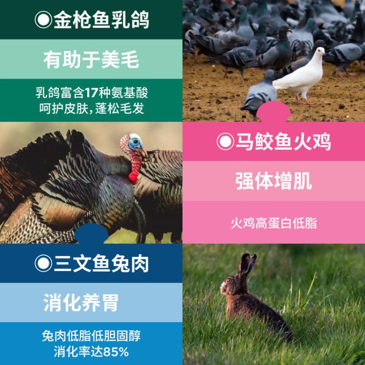 商品缩略图 6