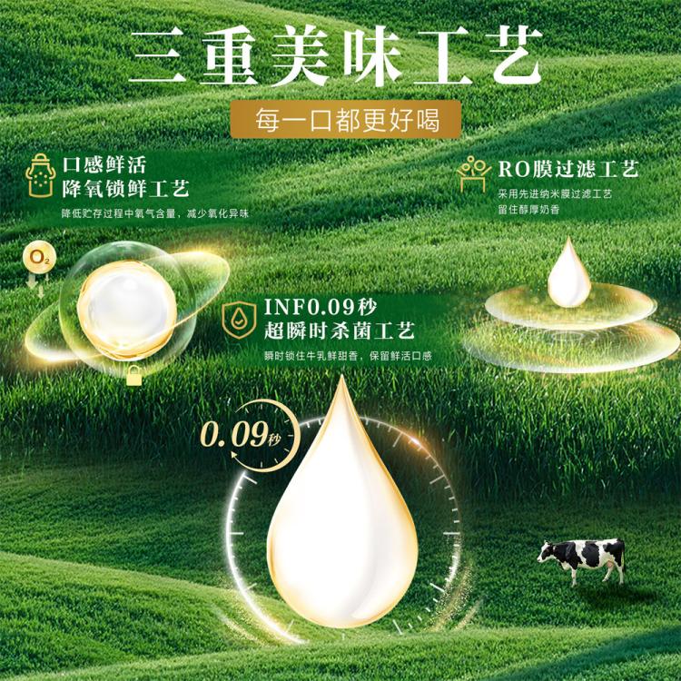 伊利yili 【9月产】金典鲜活纯牛奶250ml*10瓶春节中秋礼盒早餐营 图 6
