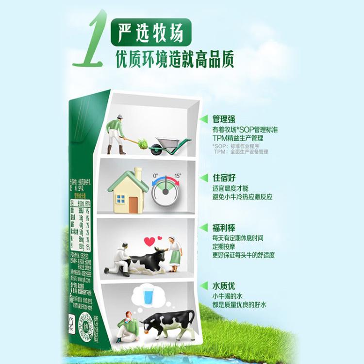 伊利yili 金典纯牛奶200ml*24盒 中秋礼 8-9月产