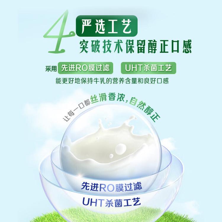 伊利yili 金典纯牛奶200ml*24盒 中秋礼 8-9月产