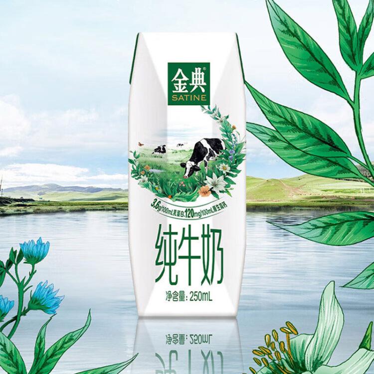伊利yili 金典纯牛奶250ml*16盒 7-8月产 中秋礼