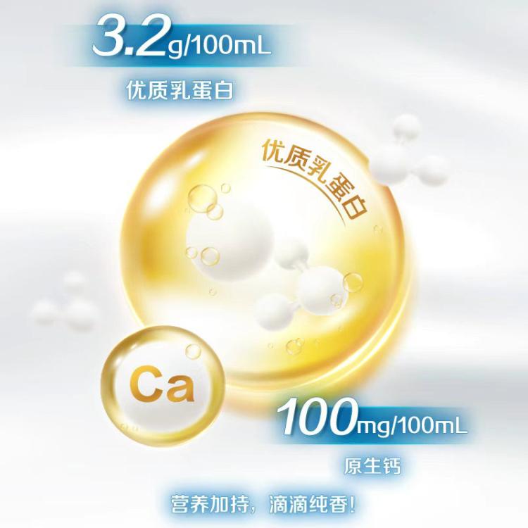 伊利yili 伊利纯牛奶200ml*24盒 甄选奶源 中秋礼 7-8月产