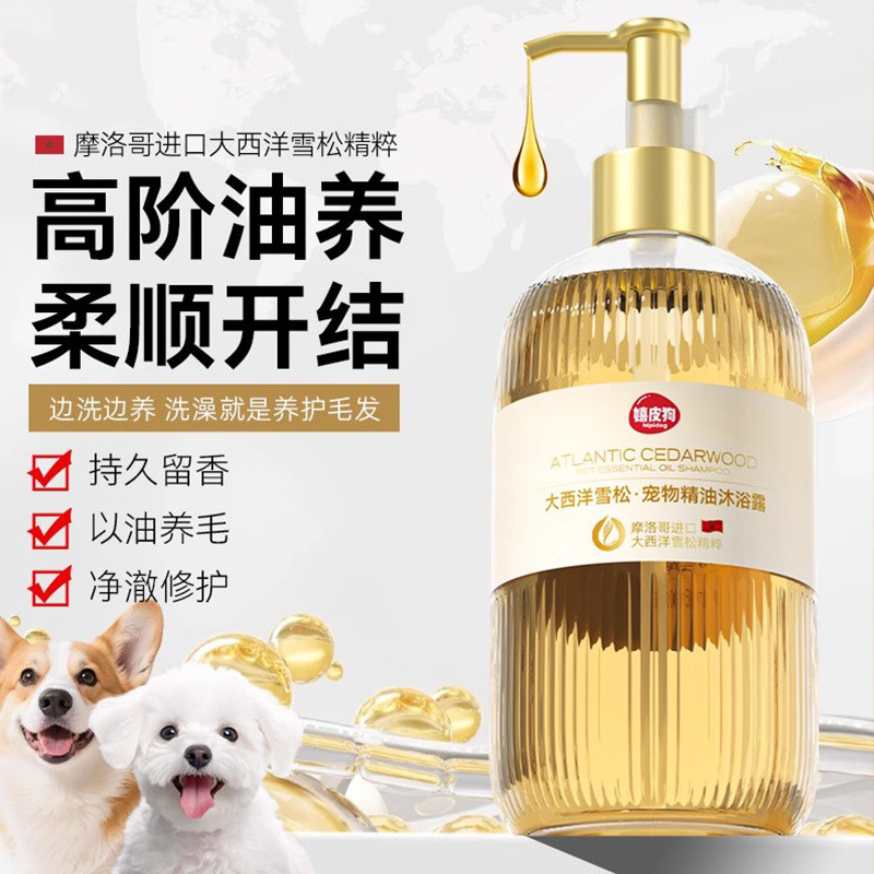 宠物狗狗用品