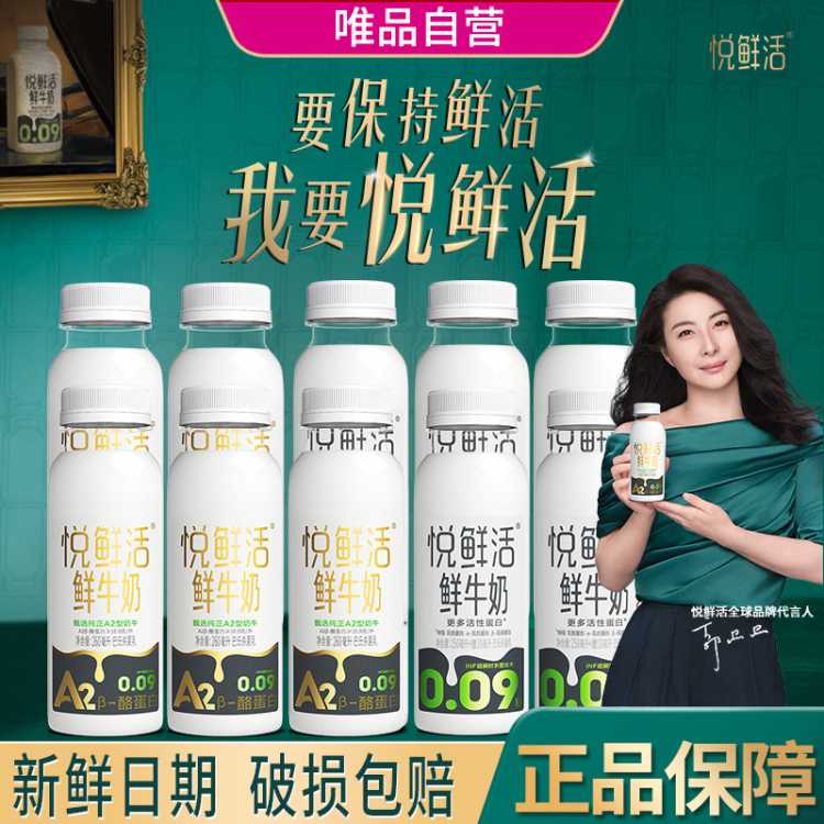 悦鲜活 鲜牛奶低温奶巴氏杀菌乳更多活性蛋白260ml组合10瓶